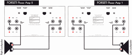 Alchemist Forseti Power Amplifier bridging diagram (single wiring)